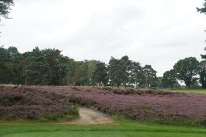 West Sussex 16th Heather